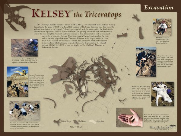 KelseyExcavation_02 copy