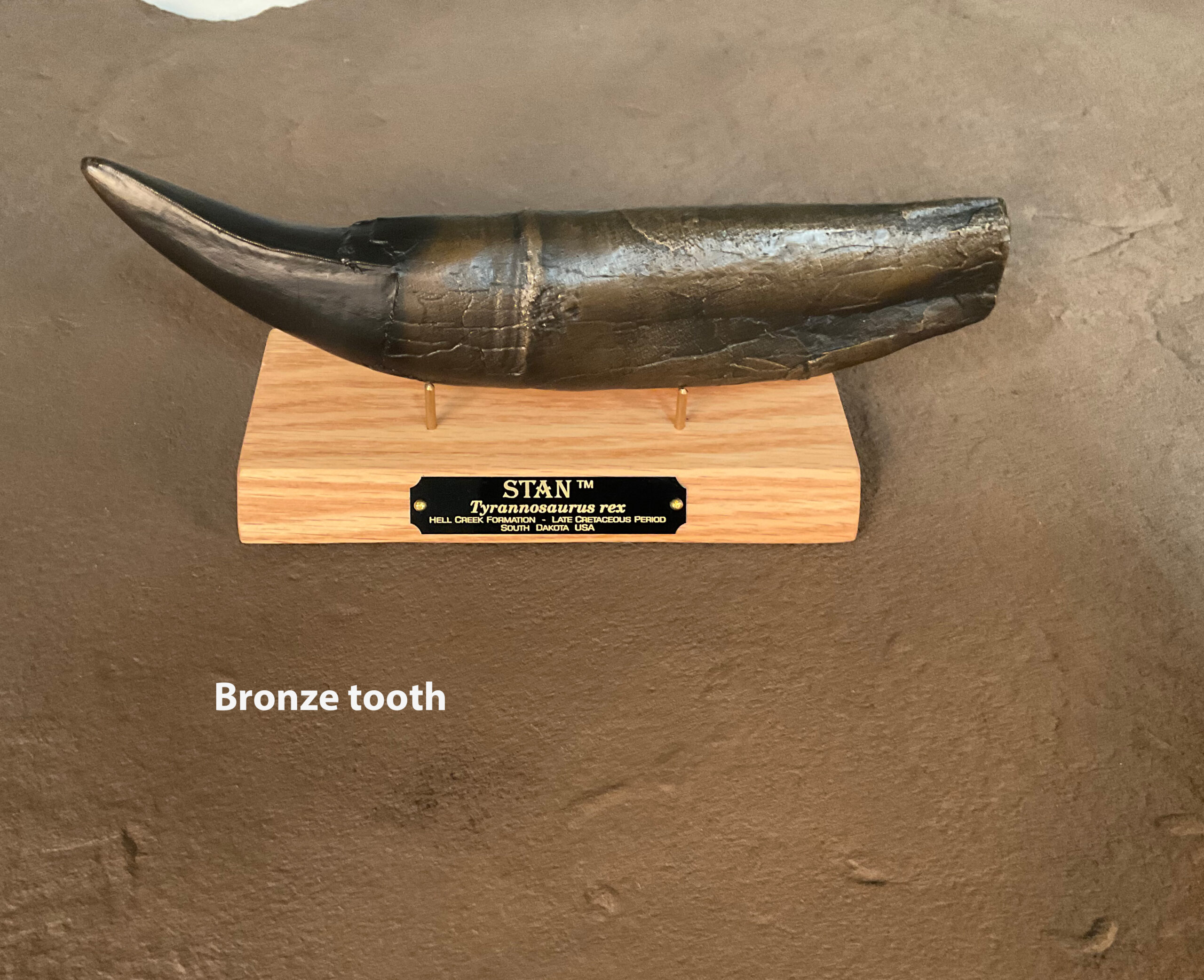 bronze_tooth_side