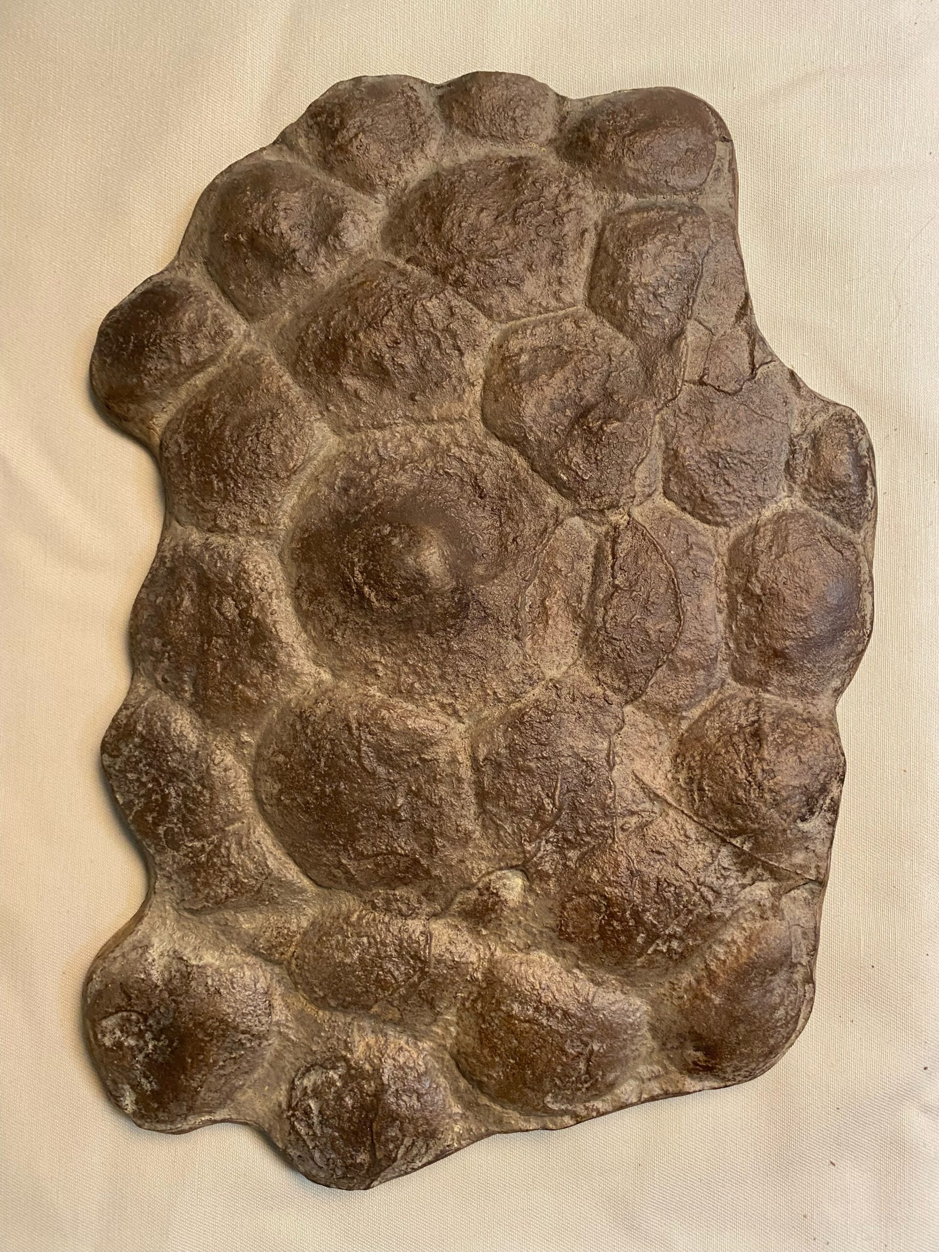 Triceratops skin-1
